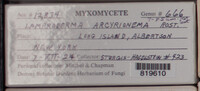 Image Associated With the Occurence